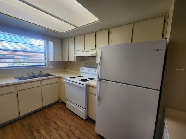 kitchen featuring hardwood / wood-style floors, sink, and white appliances