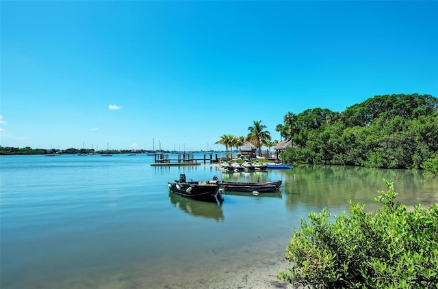 view of dock with a water view