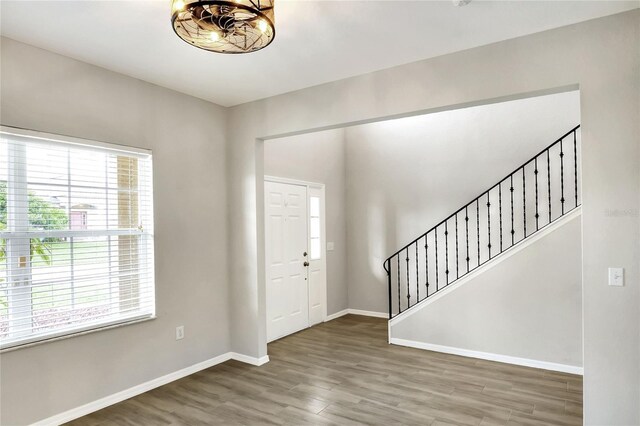 foyer entrance with wood-type flooring and plenty of natural light