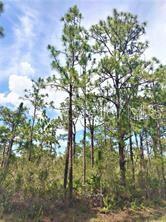 LOT15 Ixora Dr, Indian Lake Estates, FL 33855 - photo 1