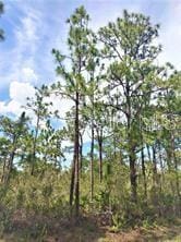 LOT15 Ixora Dr, Indian Lake Estates, FL 33855 - photo 1