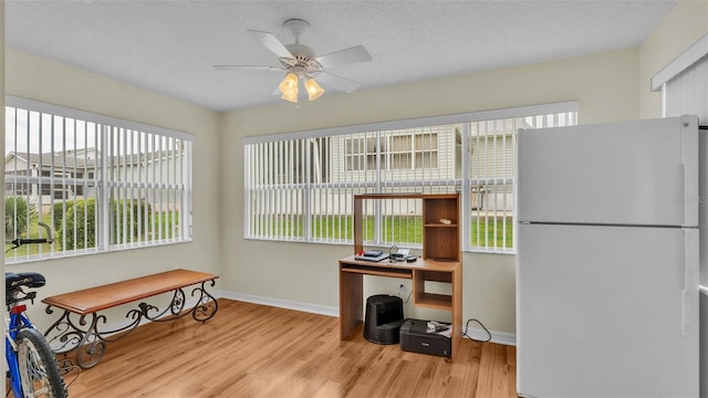 interior space with ceiling fan, light hardwood / wood-style flooring, and a textured ceiling