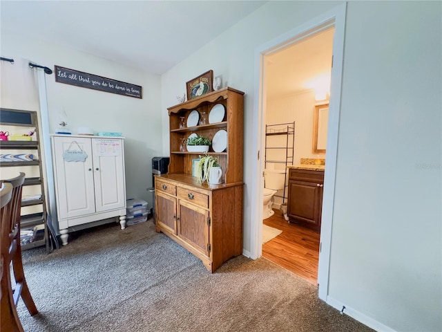 interior space featuring dark carpet