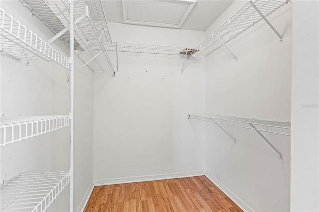 walk in closet with hardwood / wood-style flooring