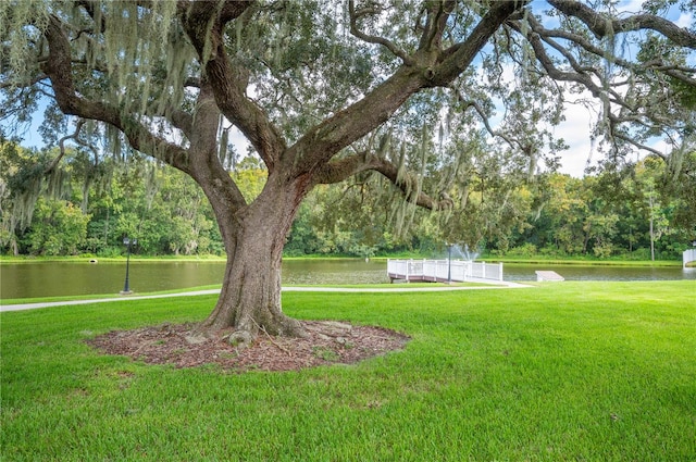 view of yard featuring a water view