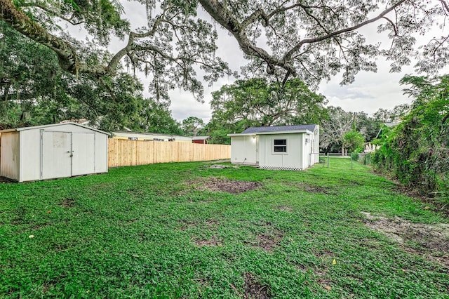 view of yard featuring a shed