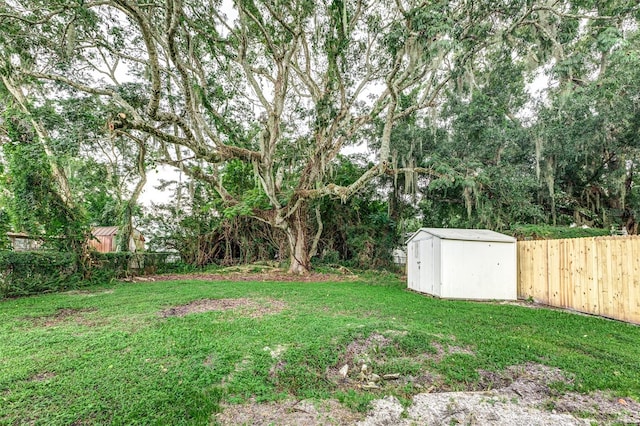 view of yard with a shed