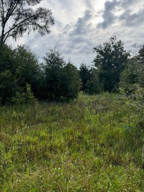 Sportsman Trl, Lakeland FL, 33809 land for sale