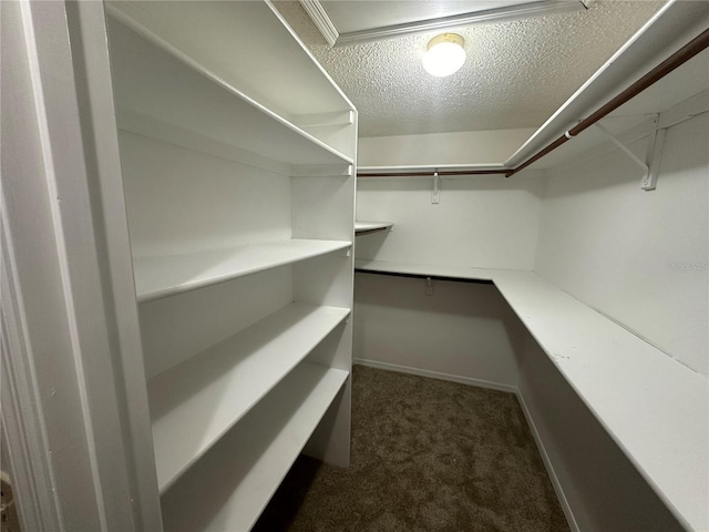 walk in closet with dark carpet