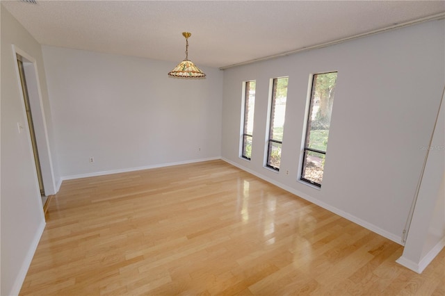 empty room featuring light hardwood / wood-style flooring