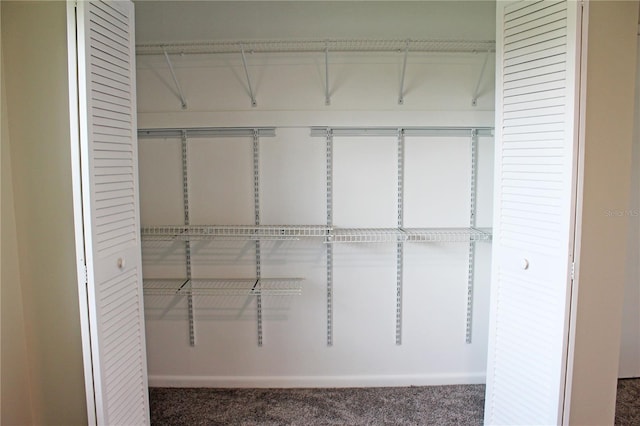 view of closet