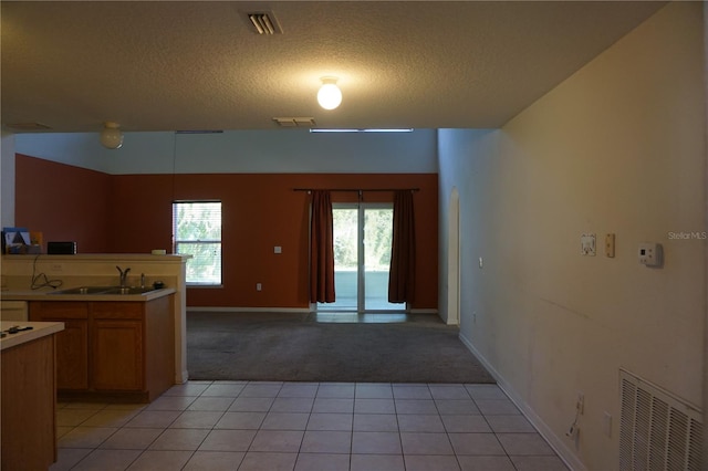 kitchen with light colored carpet, a textured ceiling, sink, and a healthy amount of sunlight