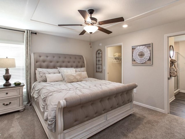 bedroom featuring dark colored carpet, ceiling fan, a walk in closet, and a closet