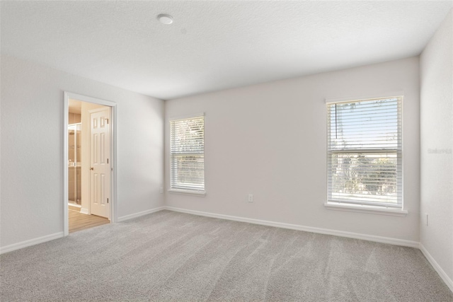 unfurnished room featuring light carpet, a wealth of natural light, and a textured ceiling