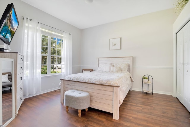 bedroom featuring dark hardwood / wood-style flooring and a closet