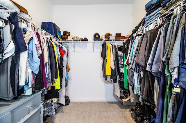 walk in closet with carpet flooring