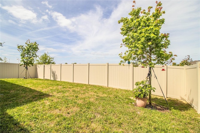 view of yard featuring a fenced backyard