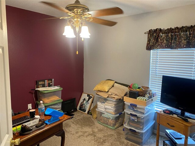6704 N 13th St, Tampa, FL 33604 - photo 12