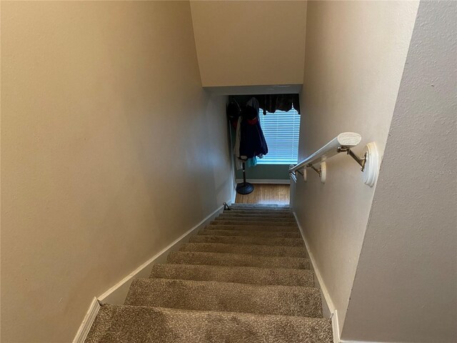 6704 N 13th St, Tampa, FL 33604 - photo 14