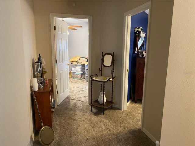 6704 N 13th St, Tampa, FL 33604 - photo 15