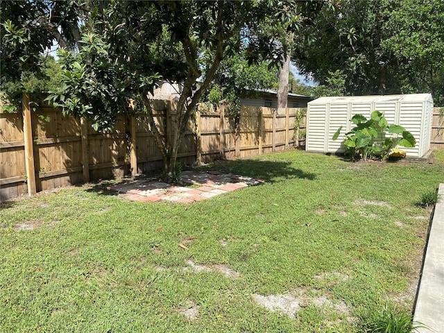 view of yard featuring a storage shed