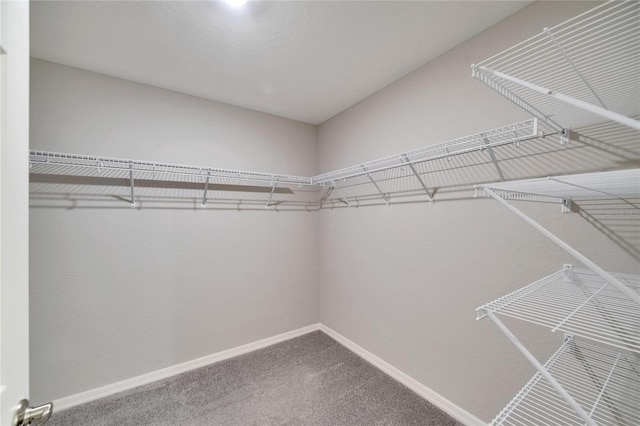 walk in closet featuring carpet flooring