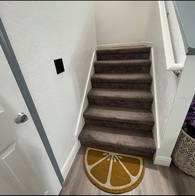 staircase featuring wood-type flooring