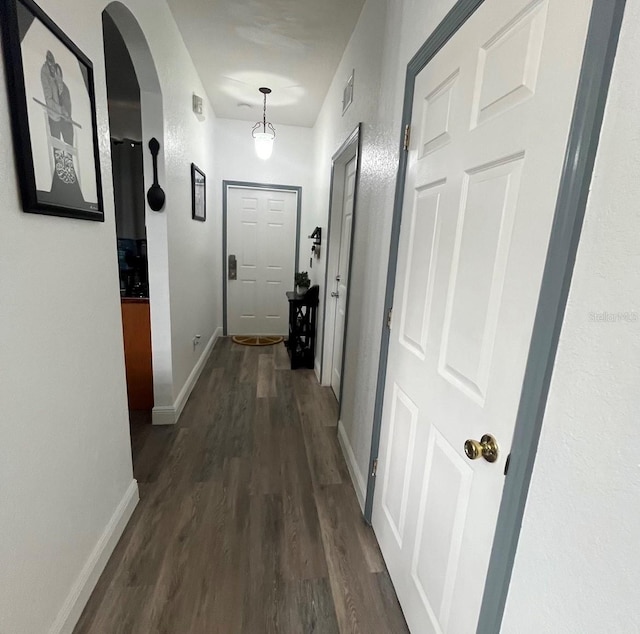 corridor with dark hardwood / wood-style floors