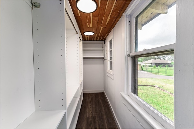 spacious closet with dark hardwood / wood-style floors