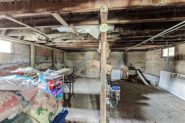 basement featuring a wealth of natural light