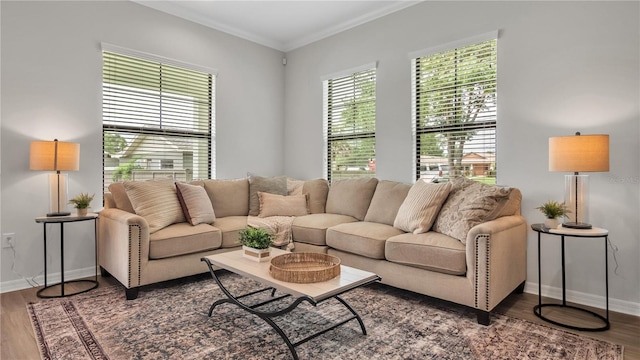 living room with crown molding and hardwood / wood-style flooring