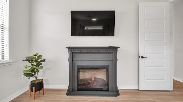 room details with hardwood / wood-style floors