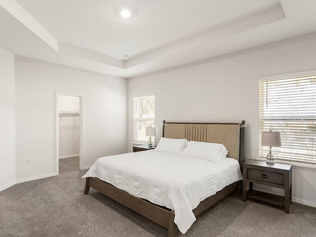 carpeted bedroom featuring a raised ceiling, multiple windows, a spacious closet, and a closet