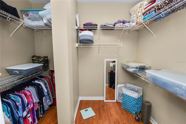 spacious closet featuring wood finished floors