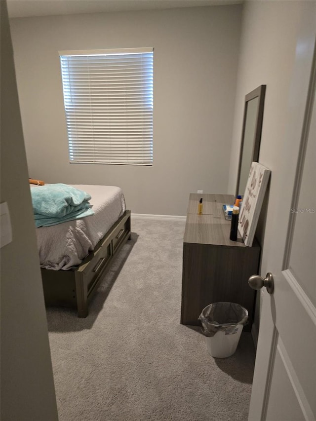 bedroom with carpet flooring