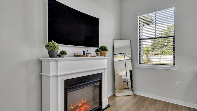 room details with hardwood / wood-style floors