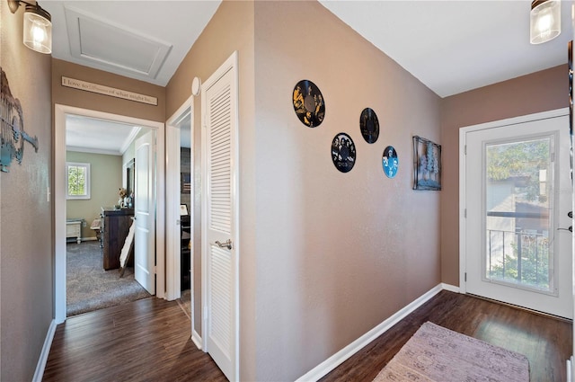 corridor featuring dark wood-type flooring, baseboards, and attic access