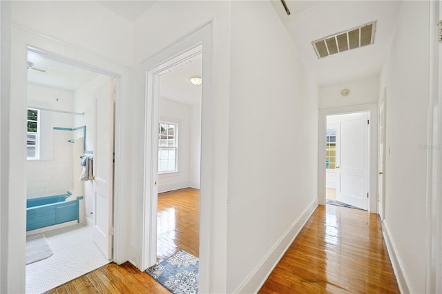 hallway featuring wood-type flooring and plenty of natural light