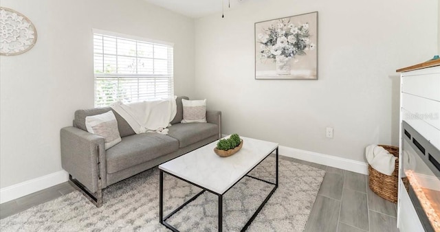 living room with hardwood / wood-style flooring and ceiling fan