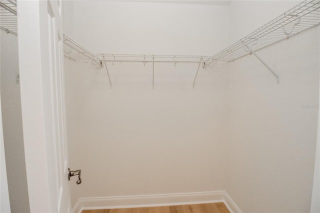 300 Winona Ct, Auburndale, FL 33823 - walk in closet with light wood finished floors