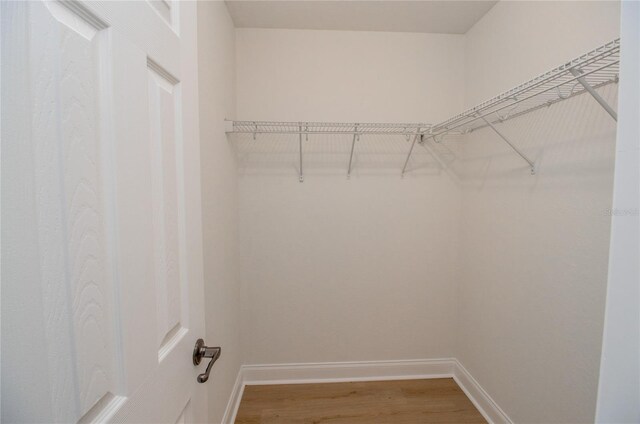 spacious closet featuring wood-type flooring