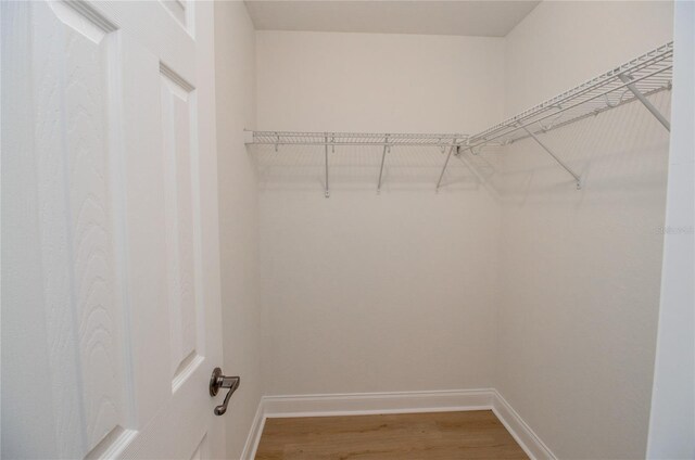 300 Winona Ct, Auburndale, FL 33823 - walk in closet with light wood finished floors