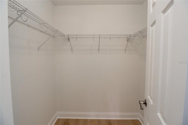 spacious closet featuring hardwood / wood-style flooring