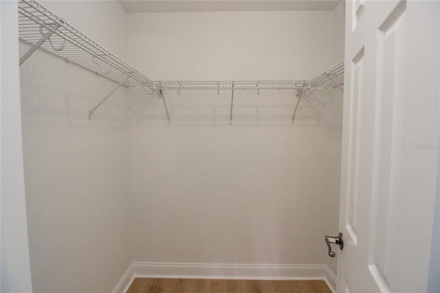 300 Winona Ct, Auburndale, FL 33823 - walk in closet featuring wood finished floors