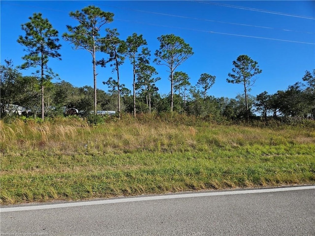 847 County Road 731 Unit 4-5, Venus FL, 33960 land for sale