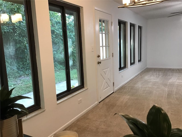 doorway featuring a healthy amount of sunlight and carpet floors