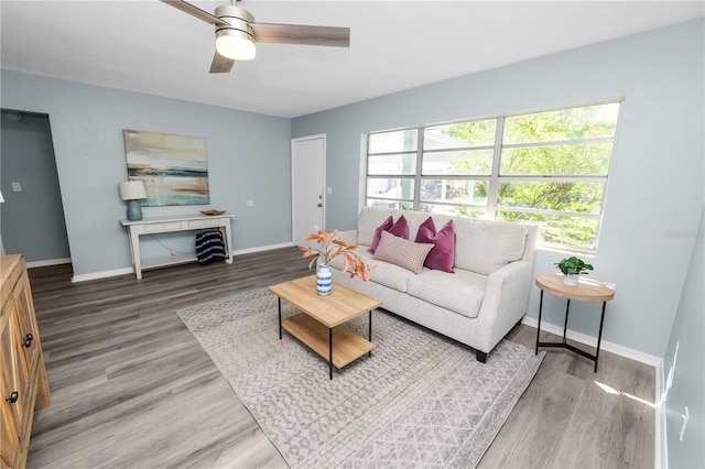 living room with ceiling fan and hardwood / wood-style flooring