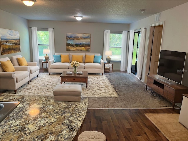 living room with a textured ceiling, hardwood / wood-style flooring, and plenty of natural light