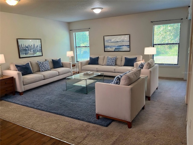 living room with a textured ceiling, dark wood-style flooring, baseboards, and a healthy amount of sunlight