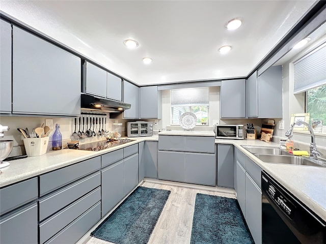 kitchen with light hardwood / wood-style floors, black appliances, sink, and plenty of natural light